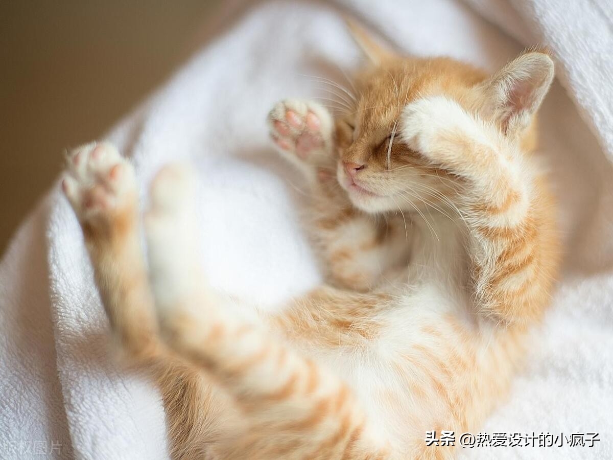 心情语录 / 做人其实很简单。你对我好，我会对你更好(图1)