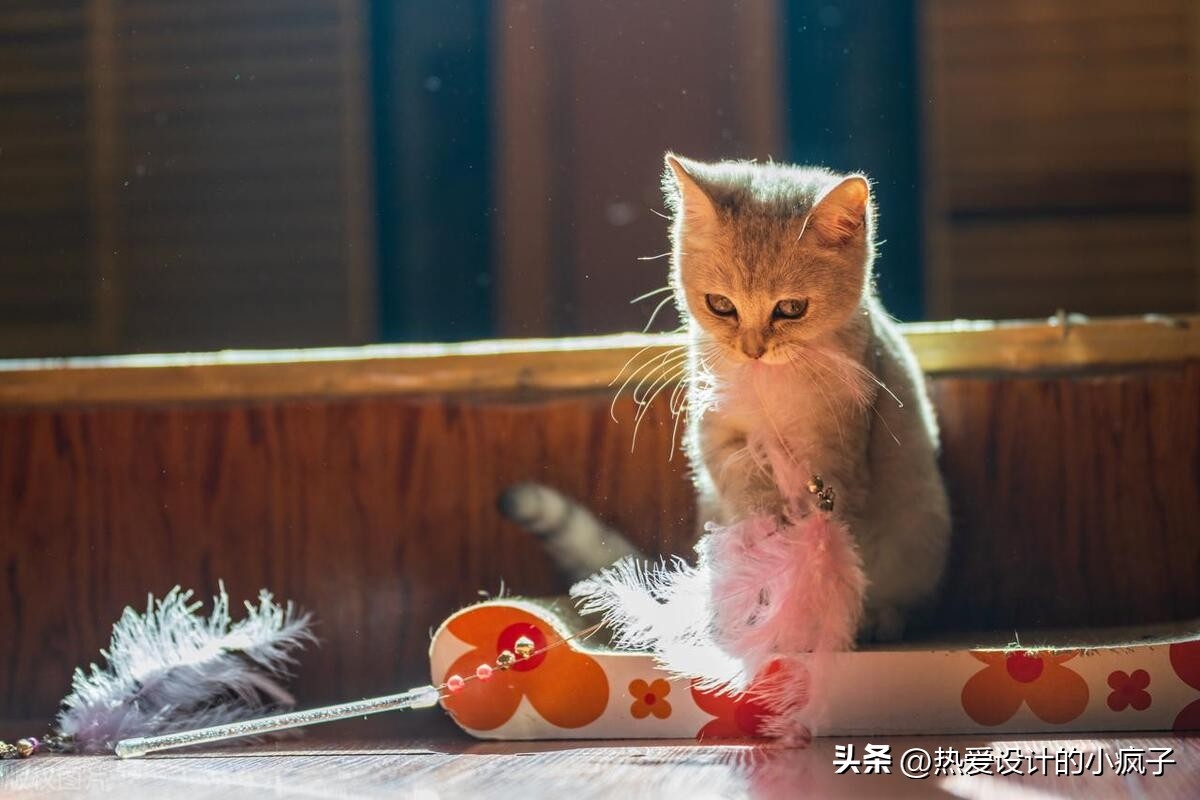 心情语录 / 做人其实很简单。你对我好，我会对你更好(图2)