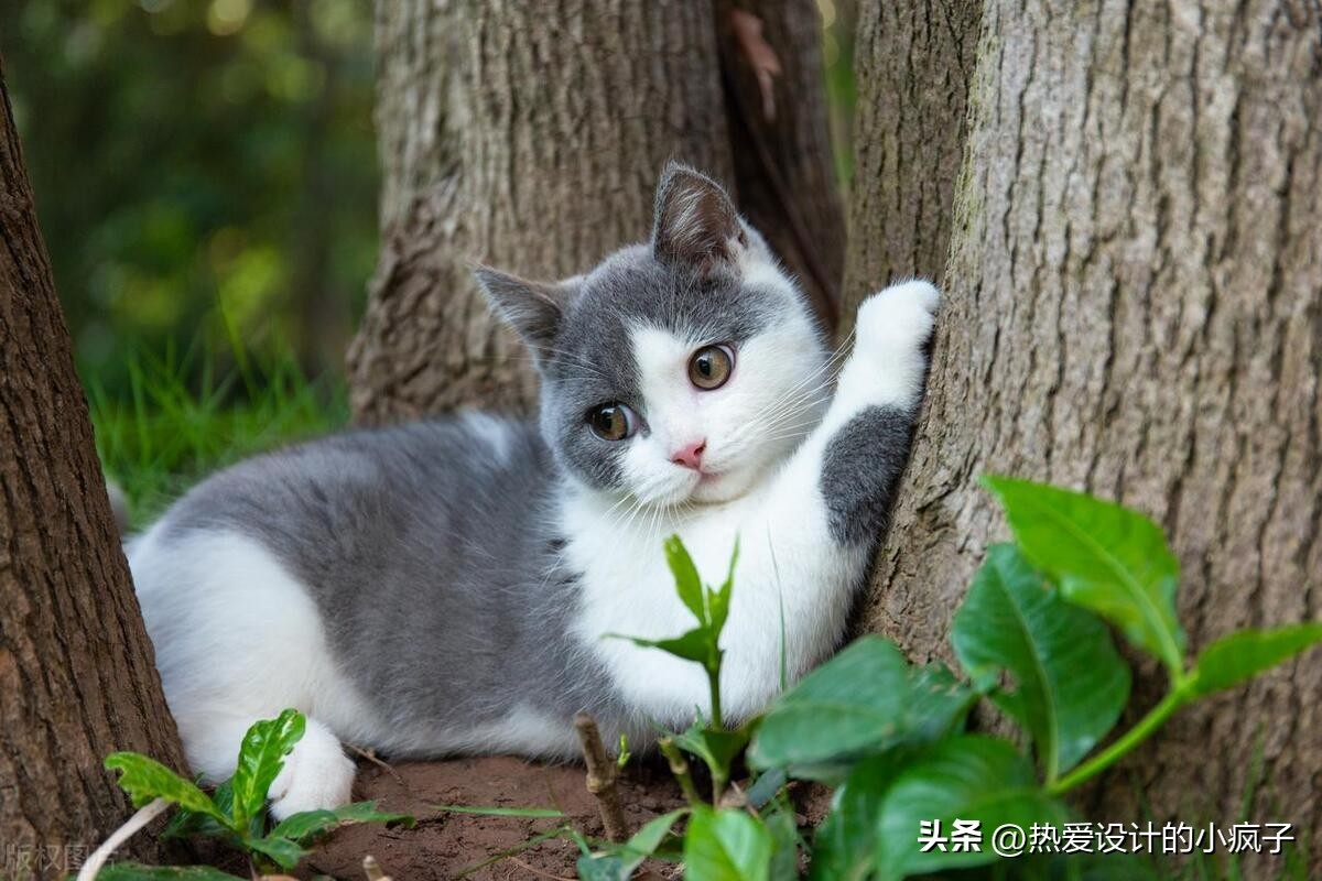 心情语录 / 做人其实很简单。你对我好，我会对你更好(图3)