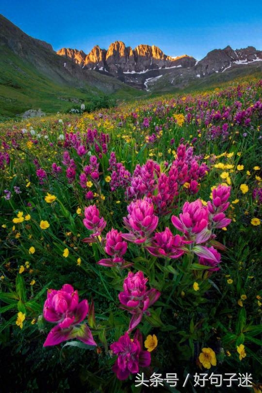 激励自己一直向前的名言警句，句句让人热血沸腾！(图1)