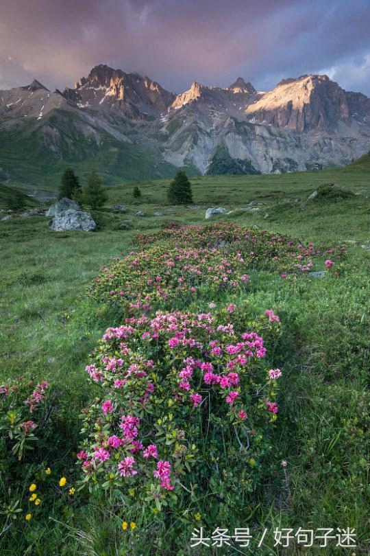 激励自己一直向前的名言警句，句句让人热血沸腾！(图2)