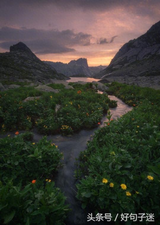 激励自己一直向前的名言警句，句句让人热血沸腾！(图3)