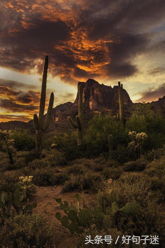 激励自己一直向前的名言警句，句句让人热血沸腾！(图7)