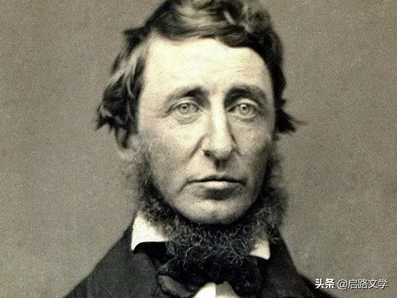 梭罗十大很经典的名言，富有哲理，让人读完，收获了很多(图3)