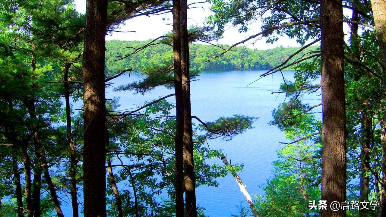 梭罗十大很经典的名言，富有哲理，让人读完，收获了很多(图5)