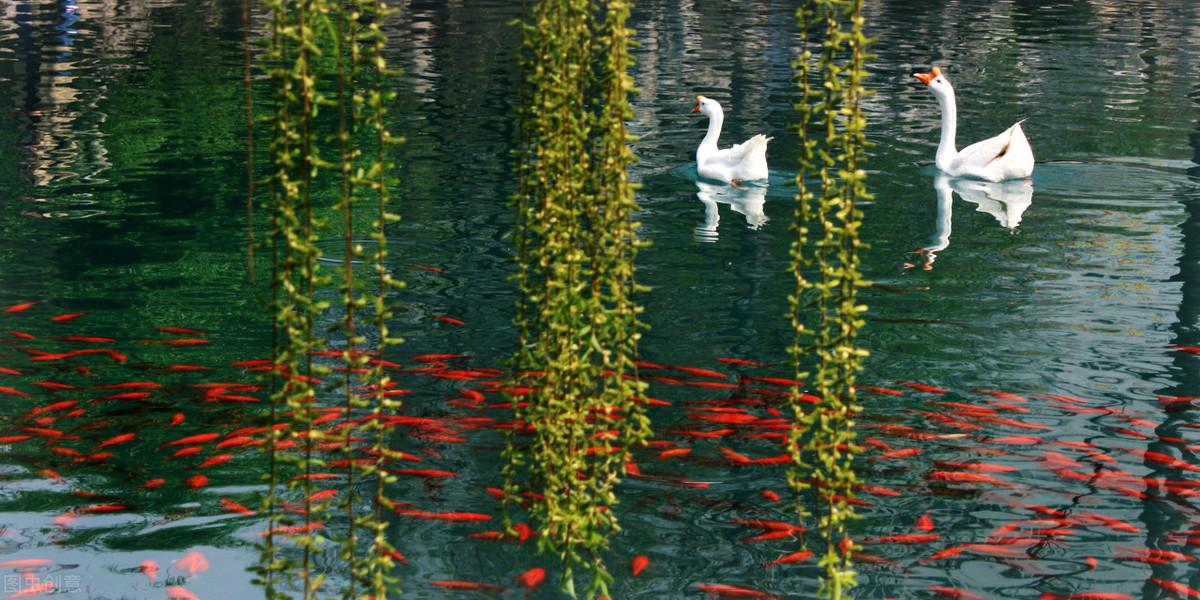 赞美边防战士，用李益的这两句诗，民族自豪感满满(图2)