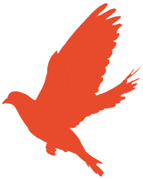 教育路上的奋斗者 | 宋彪：技能改变人生，技能成就梦想(图4)