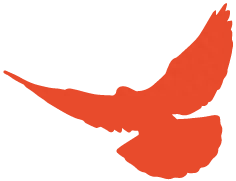 教育路上的奋斗者 | 宋彪：技能改变人生，技能成就梦想(图5)