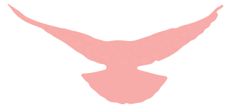 教育路上的奋斗者 | 宋彪：技能改变人生，技能成就梦想(图6)