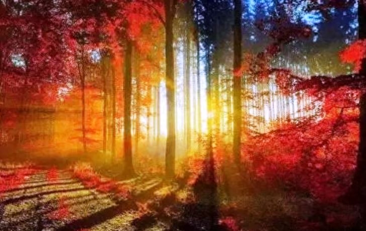 老师，您是我们心中的徐霞客（网络五朵金花同题笔抒之五）(图3)