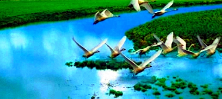 老师，您是我们心中的徐霞客（网络五朵金花同题笔抒之五）(图4)