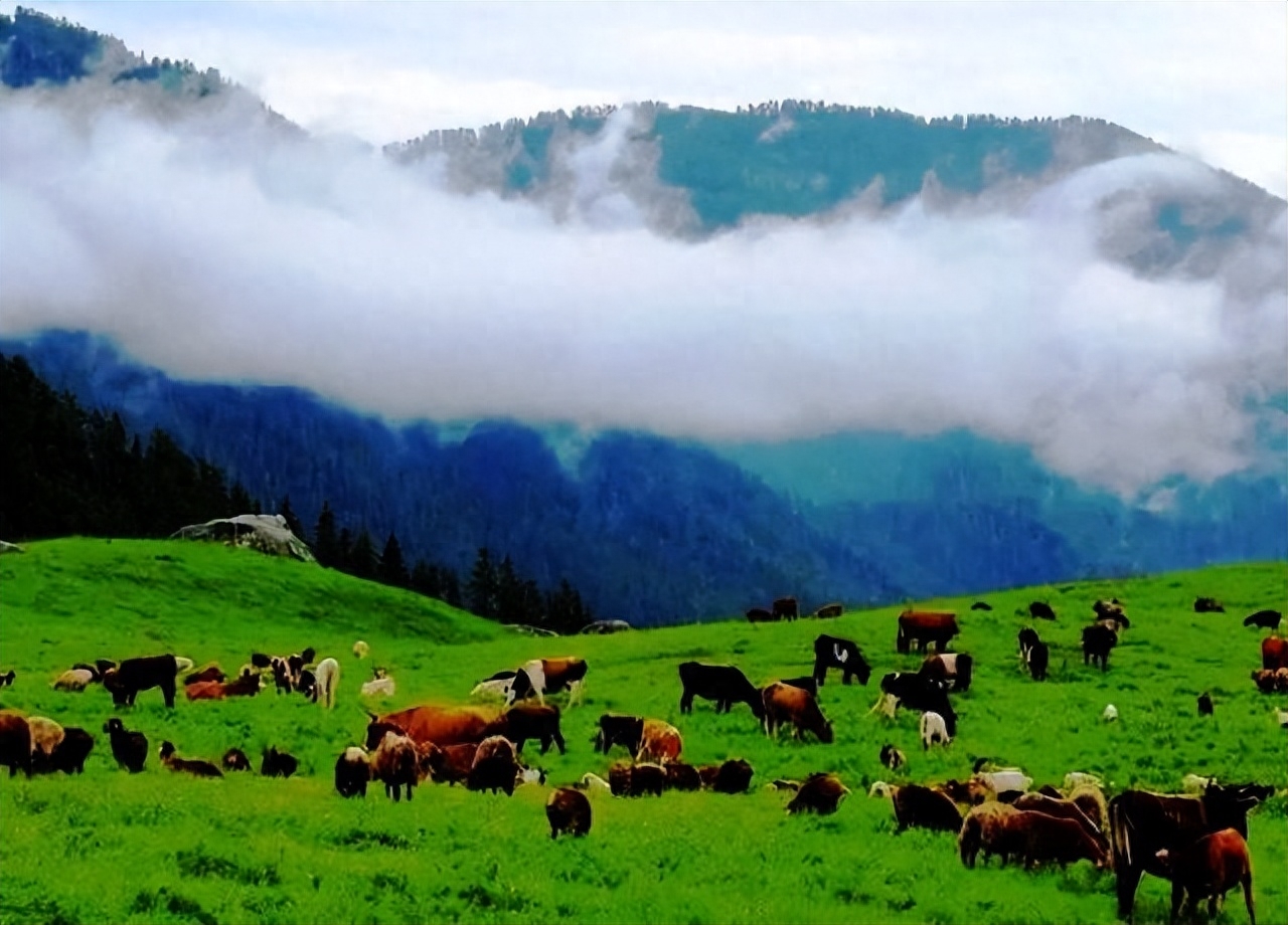 老师，您是我们心中的徐霞客（网络五朵金花同题笔抒之五）(图6)
