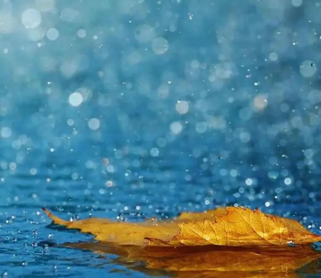 下雨天的美丽句子(图2)