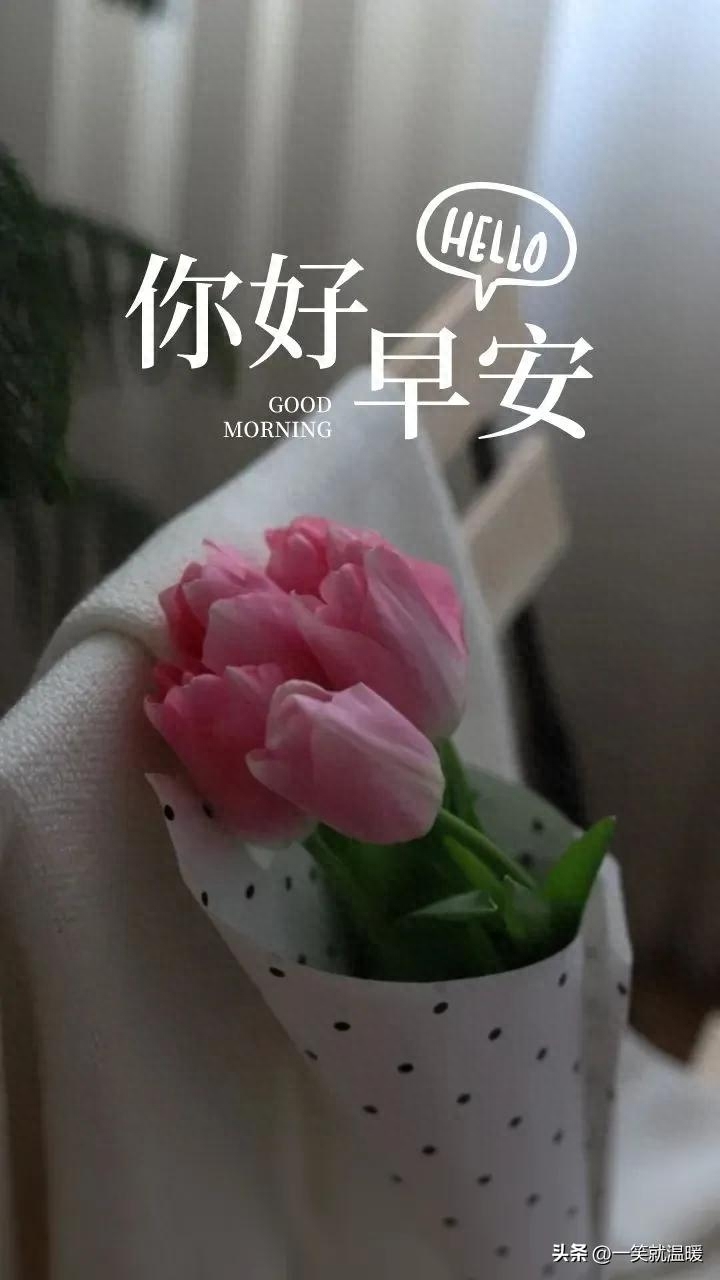 早安励志语｜温暖前行，只要努力，就有答案(图1)