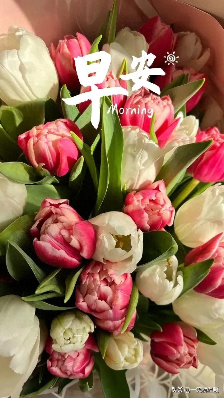 早安励志语｜温暖前行，只要努力，就有答案(图3)