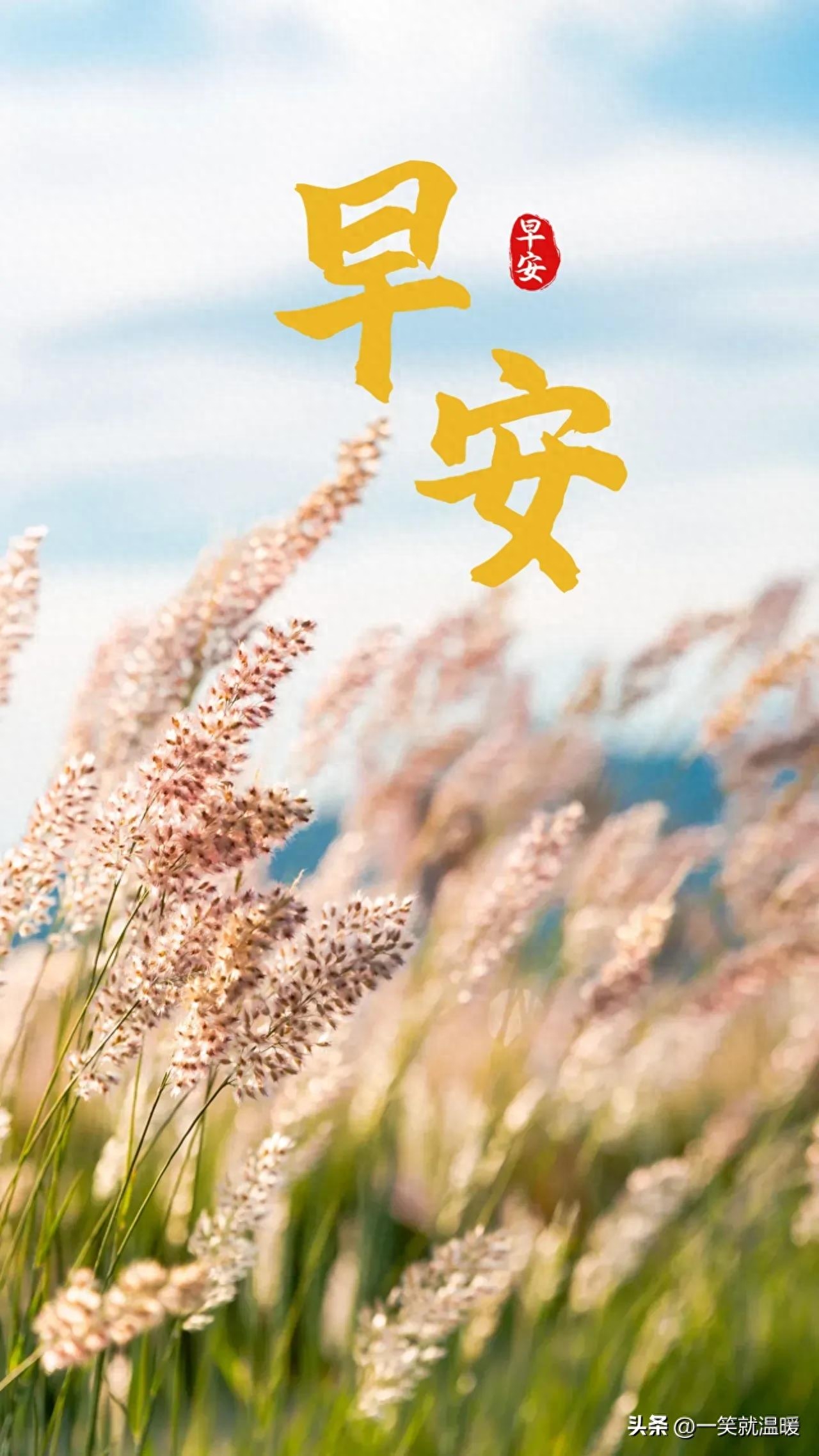 早安励志语｜温暖前行，只要努力，就有答案(图5)