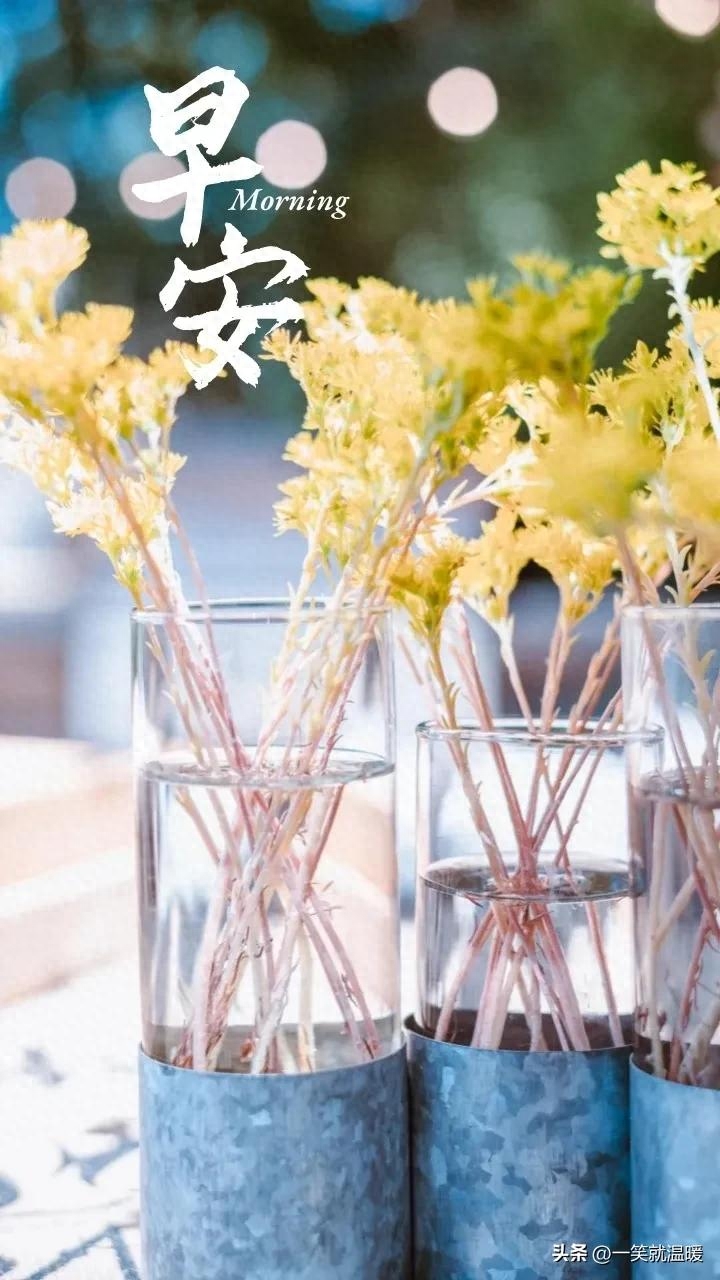 早安励志语|温暖前行,只要努力,就有答案(图44) 早安励志语|温暖前行,只要努力,就有答案(图44)