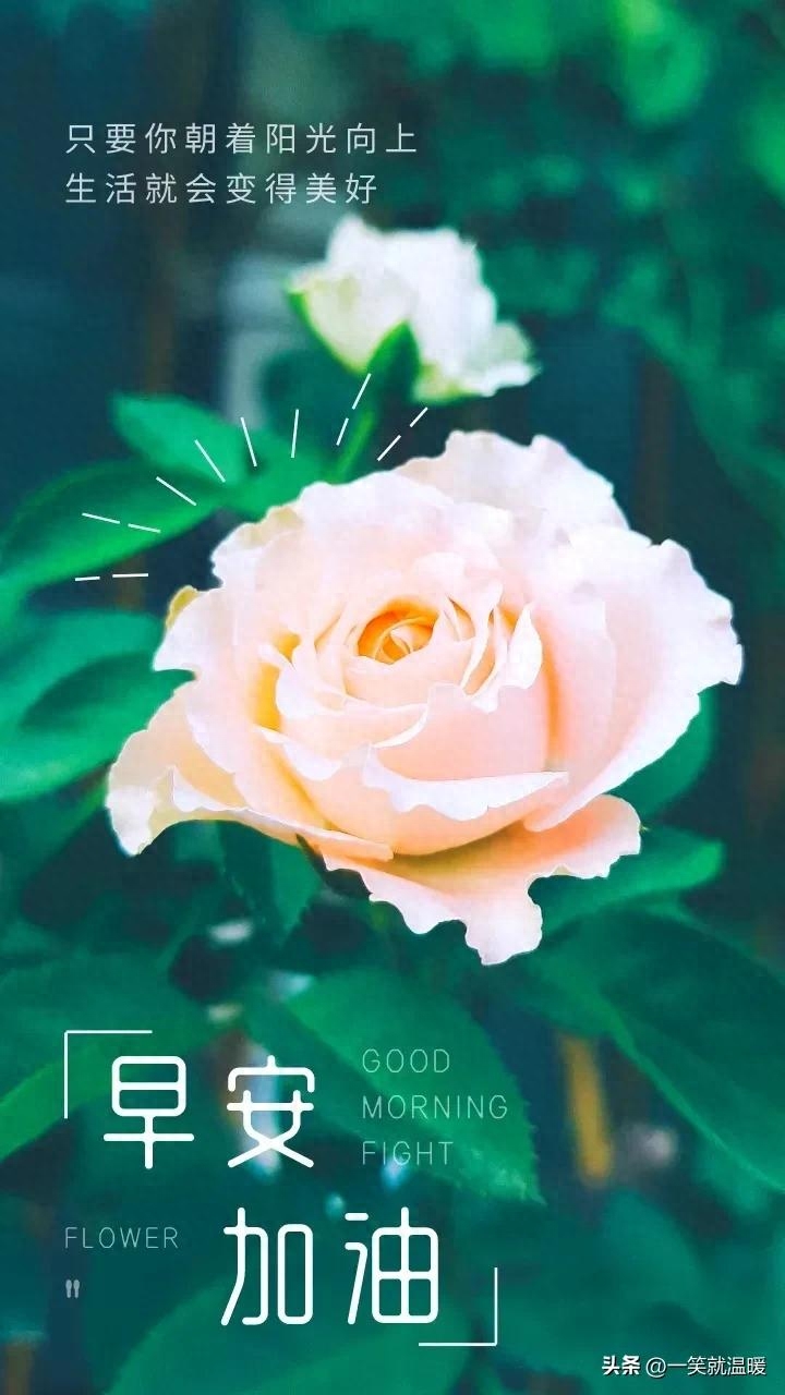 早安励志语|温暖前行,只要努力,就有答案(图48) 早安励志语|温暖前行,只要努力,就有答案(图48)