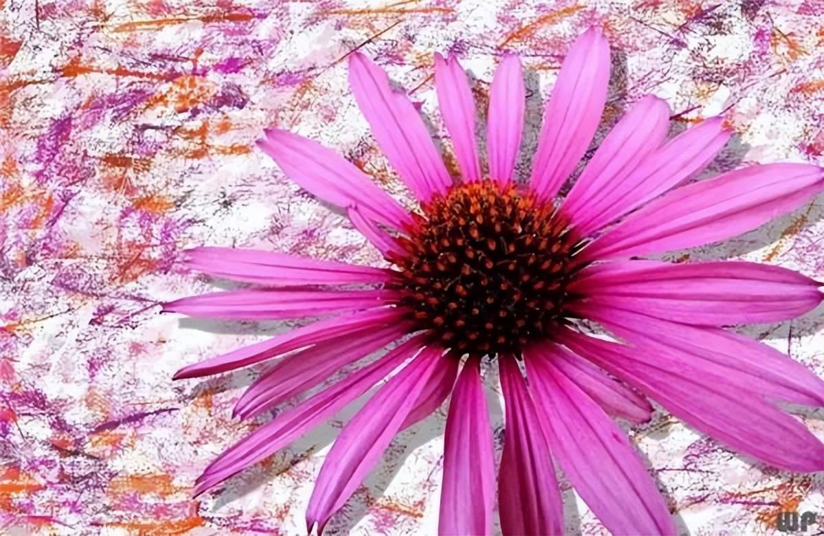 关于激励拼搏的文案，积极向上，送给追梦路上的你(图9)