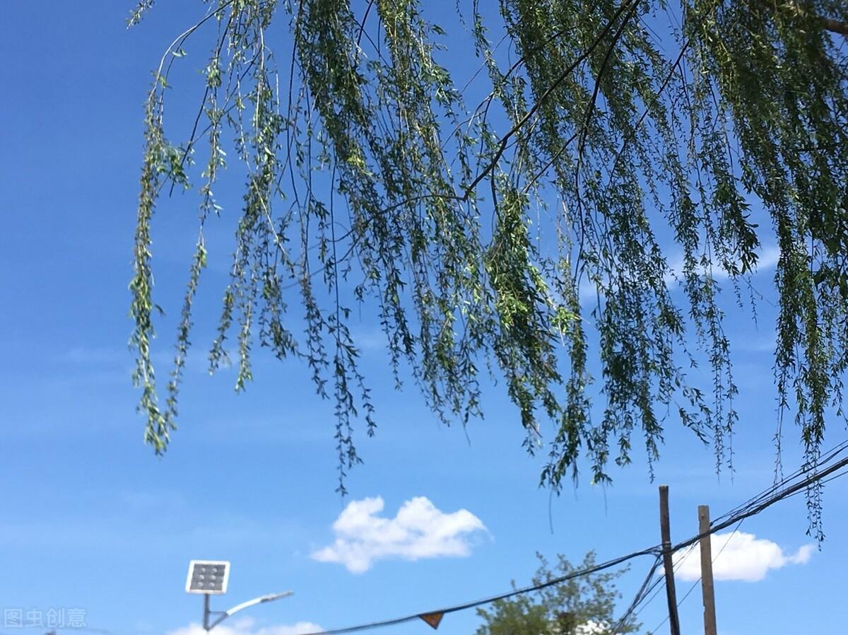 读巫哲《撒野》：你是我的年少轻狂，也是我的此生救赎(图1)