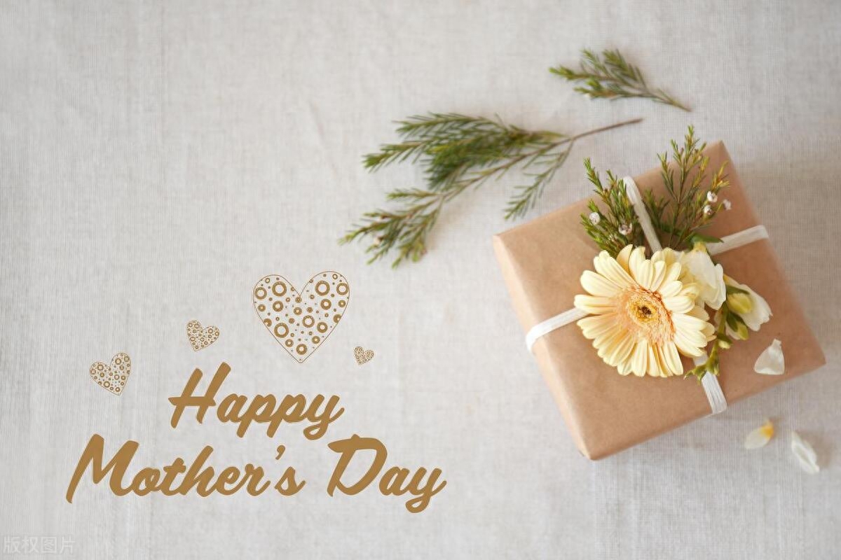 写给妈妈高级又温柔的母亲节文案(图1)