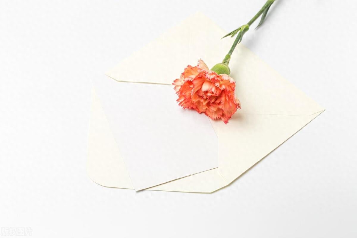 写给妈妈高级又温柔的母亲节文案(图3)