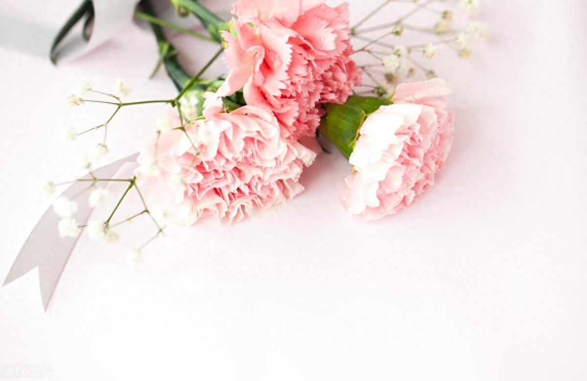 写给妈妈高级又温柔的母亲节文案(图6)