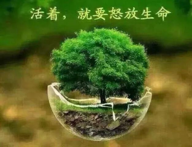 【热爱劳动格言】(图4)