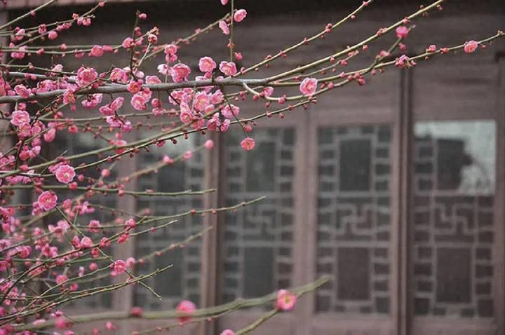 不念过往，不负当下，不畏将来(图4)