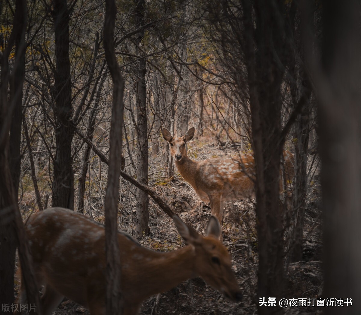 星辰满天，大海不远，梦在何方？(图3)