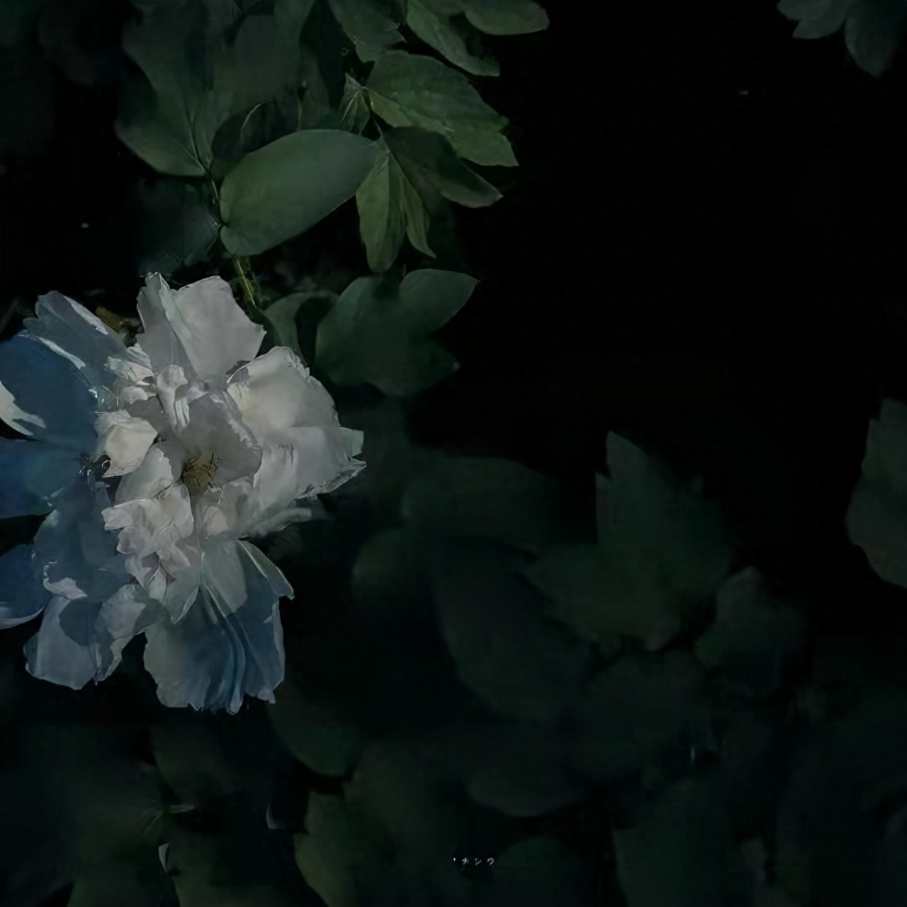 可做个签的简洁文案(图5)