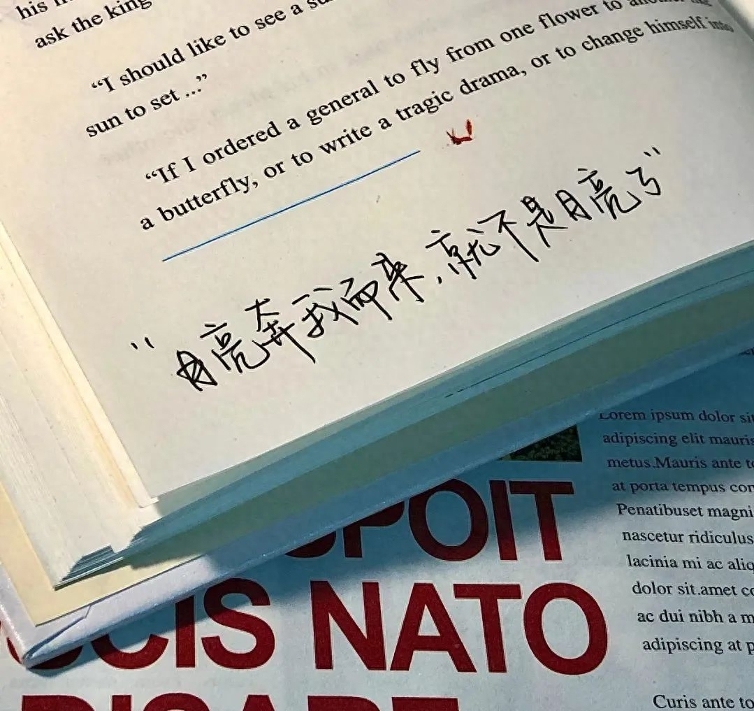 文案 | 那些充满爱意的小众个签文案(图1)