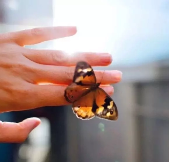 情感语录短句：人生苦短，活着就好，开心就好(图2)