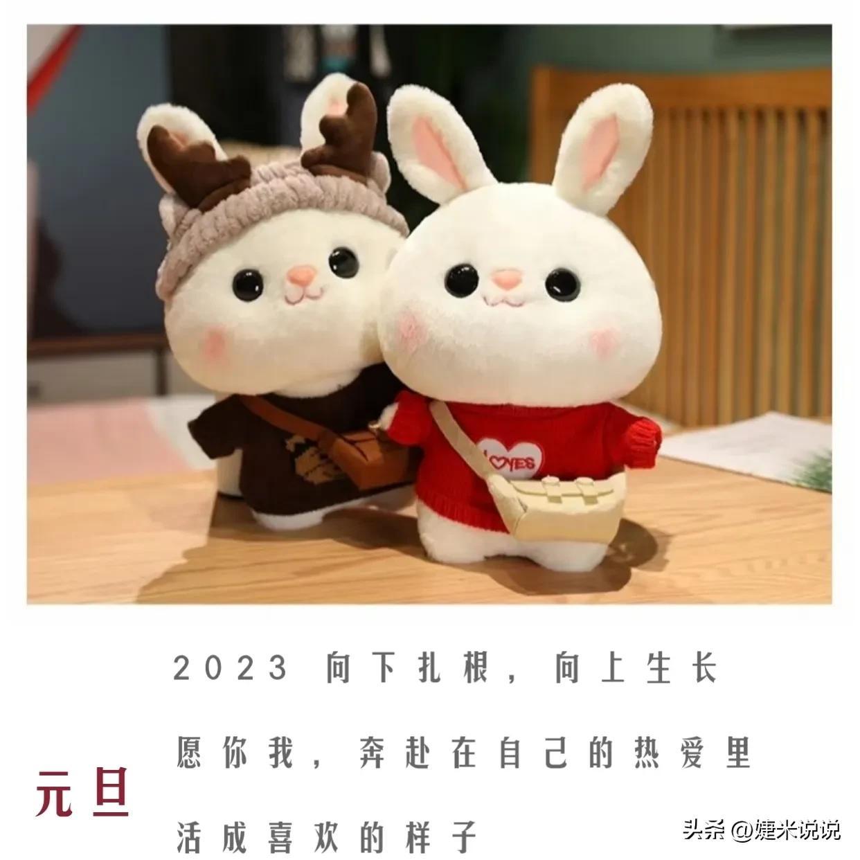 你好2023元旦文案｜兔年图片(图7)
