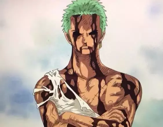 海贼王那些值得敬佩的人，索隆甘愿为路飞放弃梦想和生命(图7)