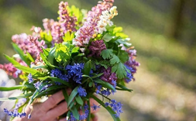 拨云见日的阳光短句，发圈秒赞，心情舒畅(图2)