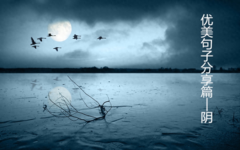 阴雨晴天优美句子分享——帮助孩子作文意境更进一步(图1)