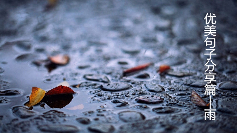 阴雨晴天优美句子分享——帮助孩子作文意境更进一步(图2)