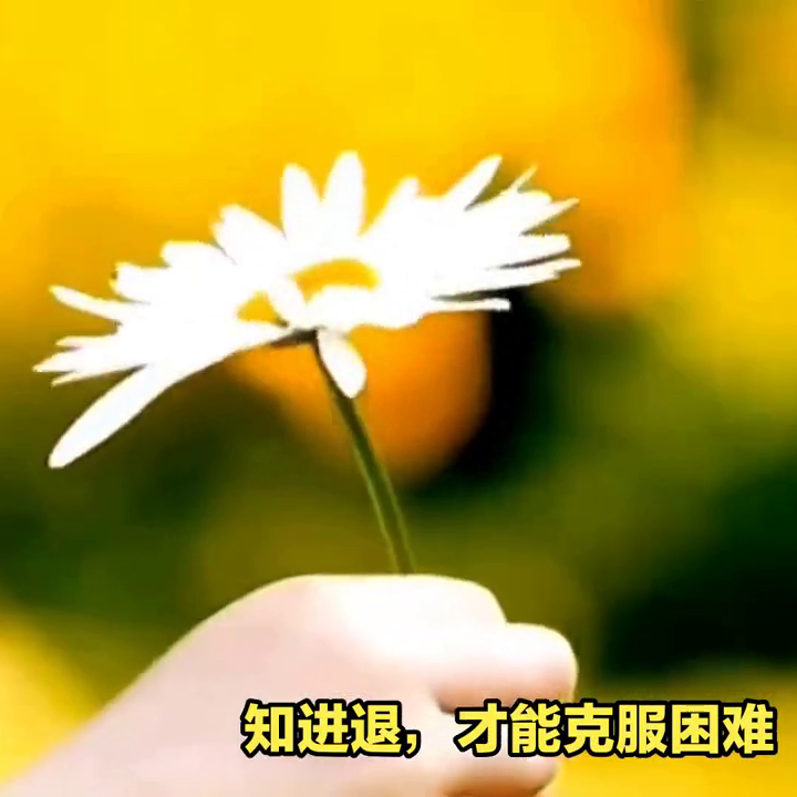 佛说：懂谦卑，知进退，获得人生大智慧#人生智慧(图1)