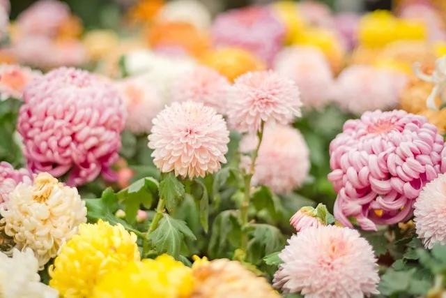 善念善行，善有善报！行善积德，善人善福(图2)