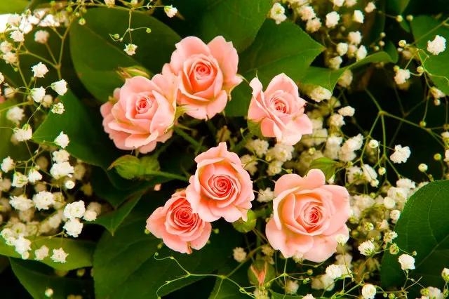 善念善行，善有善报！行善积德，善人善福(图3)