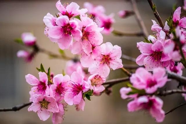 善念善行，善有善报！行善积德，善人善福(图5)