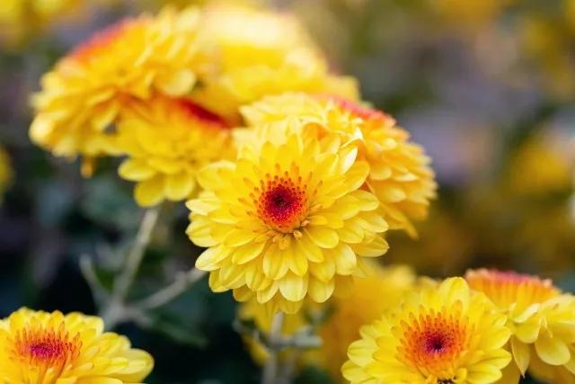 善念善行，善有善报！行善积德，善人善福(图6)