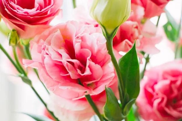 善念善行，善有善报！行善积德，善人善福(图7)