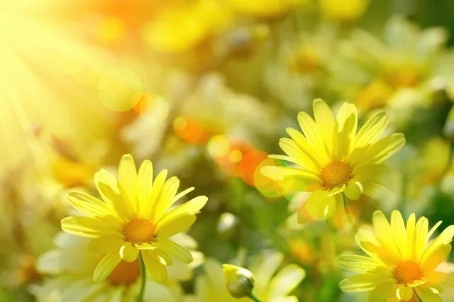 善念善行，善有善报！行善积德，善人善福(图8)