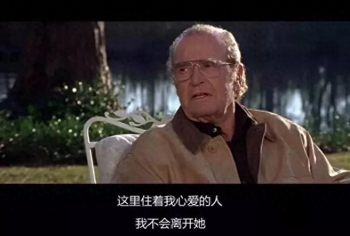 小故事｜爱意随风起，韶华不负卿(图6)