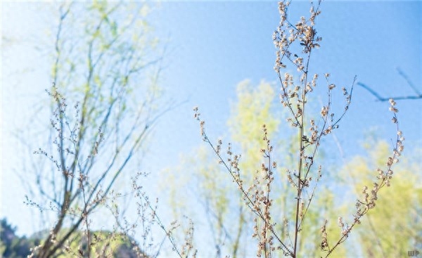 微信简短窝心的心情说说，哪句写进了你的心窝？(图6)