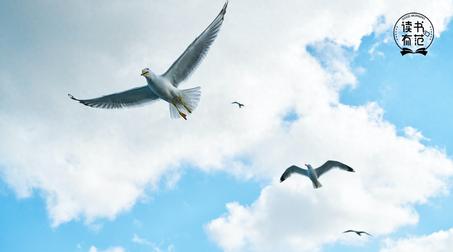 不争不吵不炫耀，不悲不气不计较(图1)