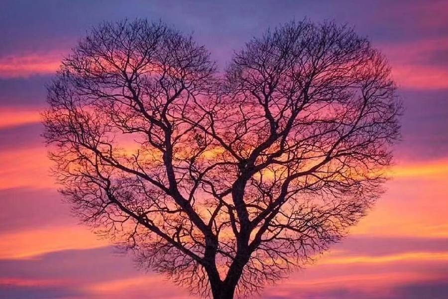 多学一样本事，实力才是一个人最强的底气  #励志语录(图2)