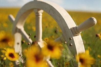 多学一样本事，实力才是一个人最强的底气  #励志语录(图4)